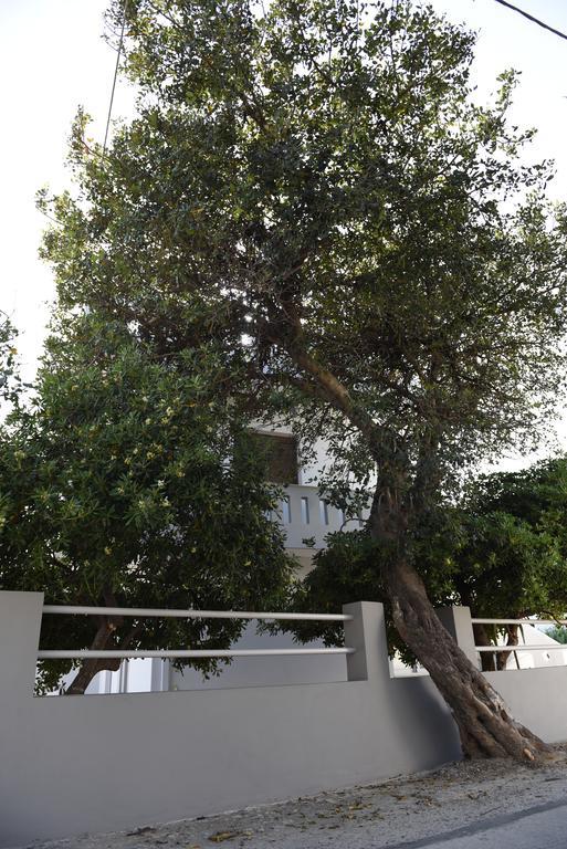 Dimitris' & Valentina'S Home Plakias Exterior photo